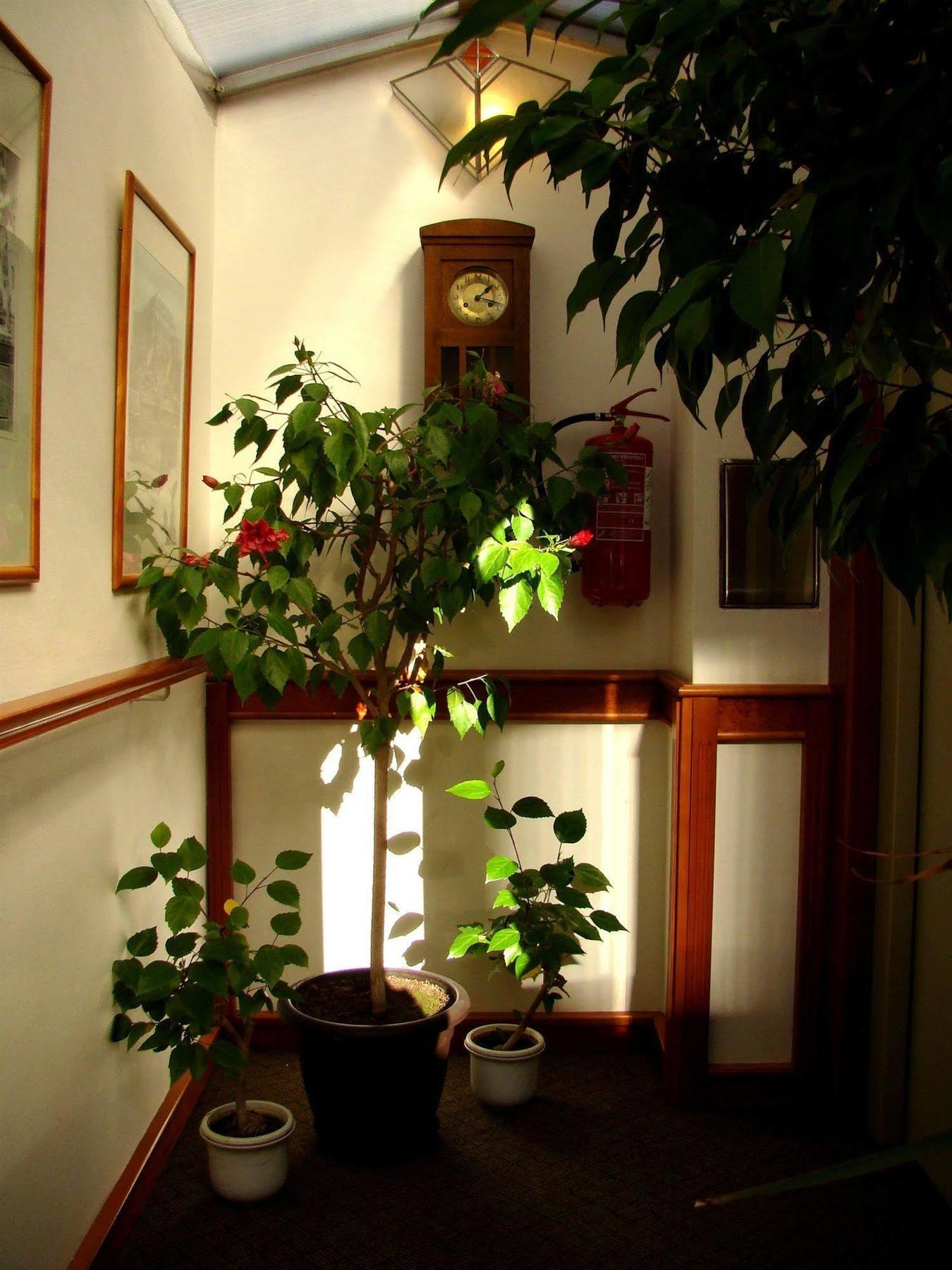 Boutique Hotel 16 Prag Dış mekan fotoğraf